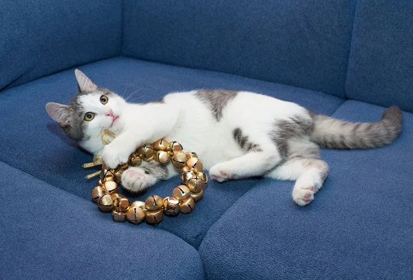 White kitten with gray spots playing with Christmas wreath bells — Stock Photo, Image