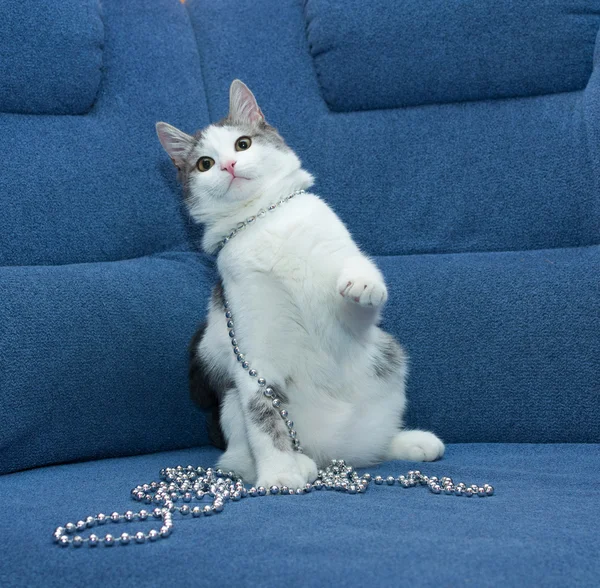 Vit kattunge med grå fläckar leker med jul pärlor — Stockfoto