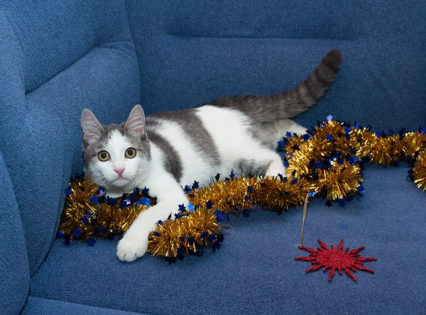 Weißes Kätzchen mit grauen Flecken spielt mit goldenem Weihnachtsgarla — Stockfoto