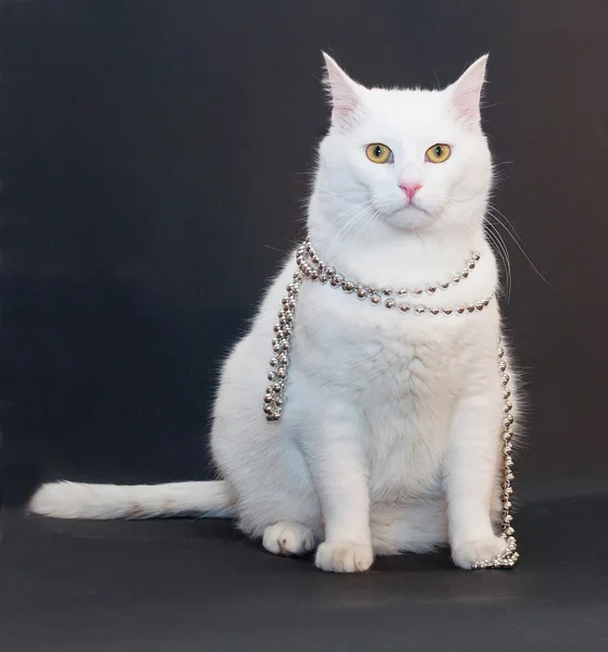 Sad white cat with yellow eyes with silver Christmas beads aroun — Stock Photo, Image