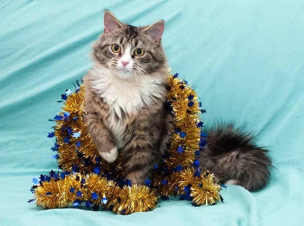Tabby cat with yellow eyes playing with golden Christmas garland — Stock Photo, Image
