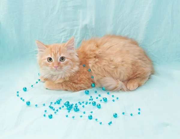 Punainen pörröinen kissanpentu leikkii sinisillä helmillä vaaleansinisellä backgrounilla — kuvapankkivalokuva