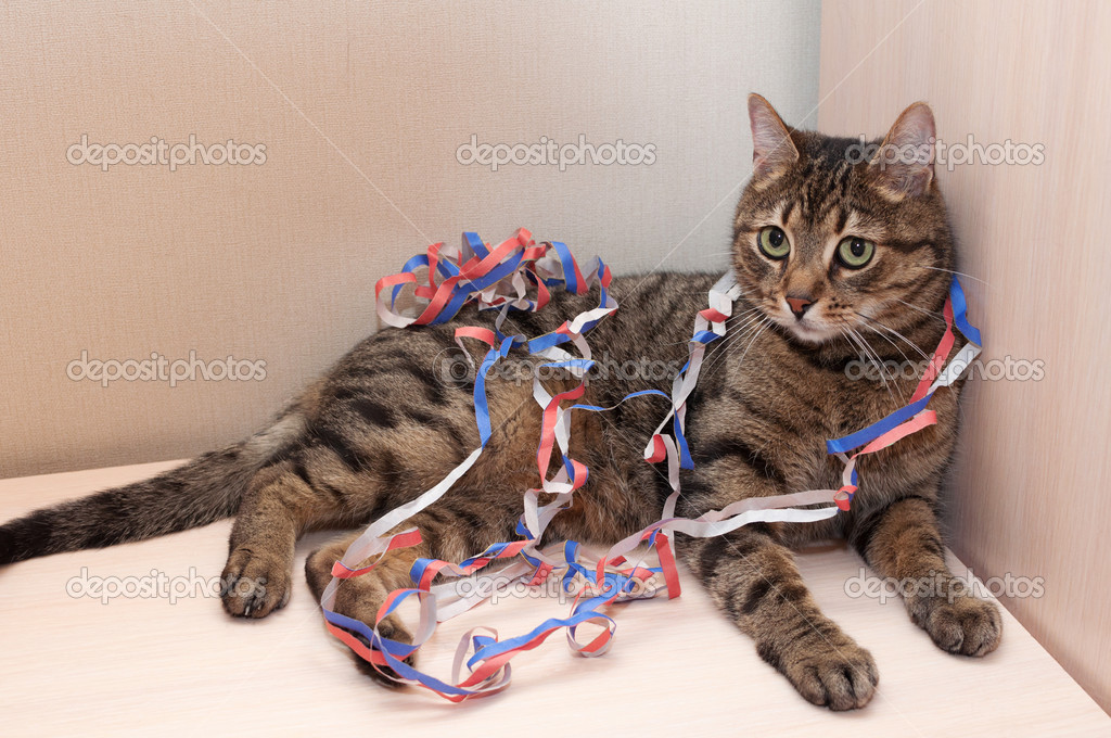 tekir kedi sarmal serpantin Noel süsleri yer alır. — Stok Foto