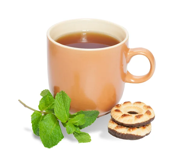 Cup of tea, sprig of mint and cookies isolated on white backgrou — Stock Photo, Image
