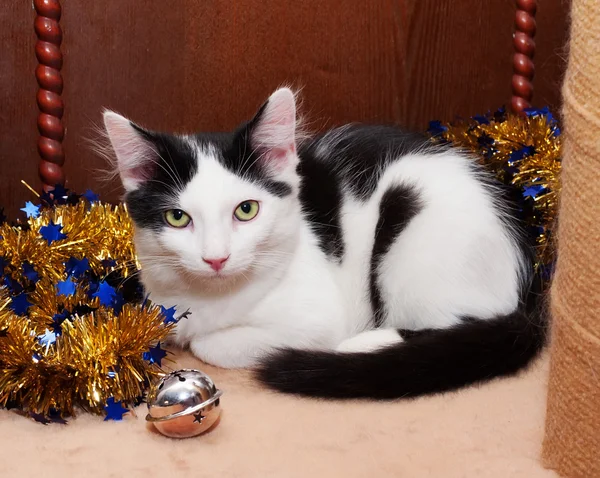 Gatinho preto e branco com olhos verdes deitados — Fotografia de Stock