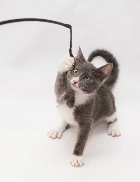 Grijze kitten met witte vlekken en gele ogen vastklampt speelgoed — Stockfoto