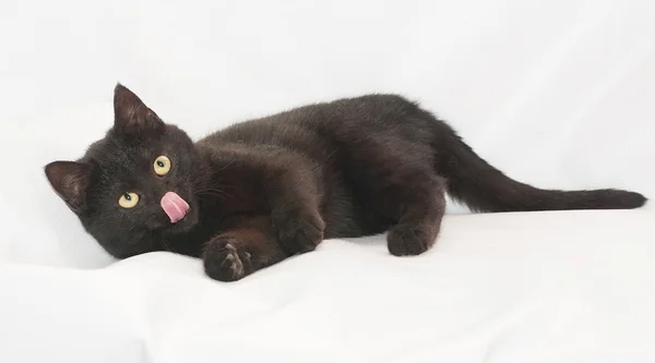 Chat noir aux yeux jaunes couché, sortant sa langue — Photo