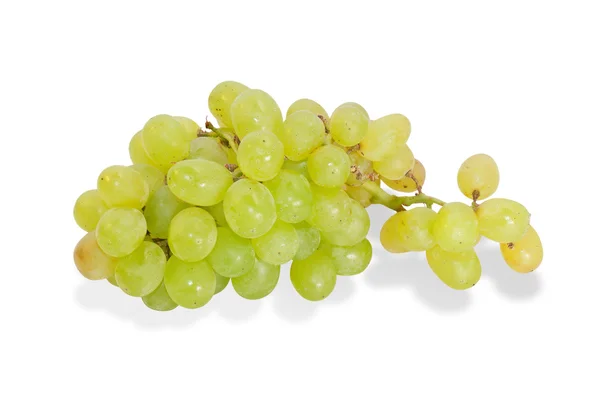 Green  grape branch isolated — Stock Photo, Image