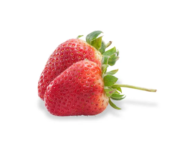 Two berries ripe strawberries with leaves isolated — Stock Photo, Image