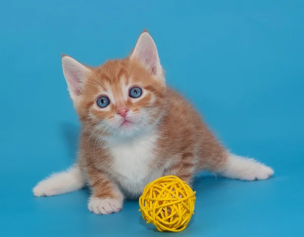 Nadýchané červené kotě s žlutými hračkou na modré — Stock fotografie