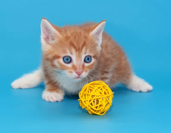 Nadýchané červené kotě s žlutými hračkou na modré — Stock fotografie