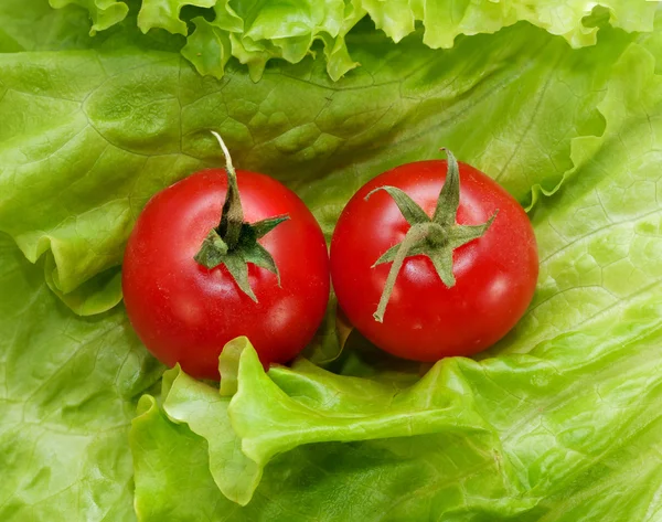 Zwei Kirschtomaten auf Salatblatt — Stockfoto