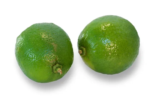 Dois limão maduro isolado — Fotografia de Stock