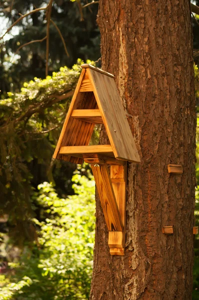 Casa de pájaros hecha a mano en el árbol —  Fotos de Stock