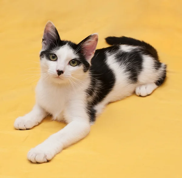 Witte kat met zwarte stippen ligt op geel — Stockfoto