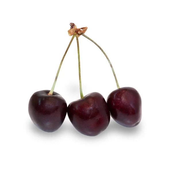 Trois cerises aux baies mûres, isolées — Photo