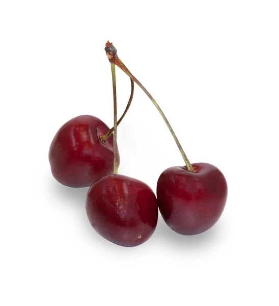 Trois cerises aux baies mûres, isolées — Photo