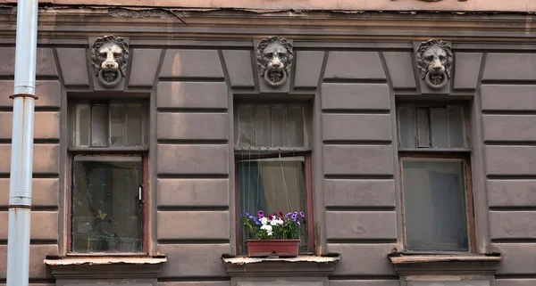 Tres ventanas en casa antigua con esculturas de leones —  Fotos de Stock