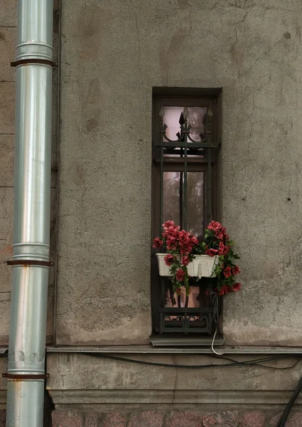 Ventana de casa antigua con cajas de flores — Foto de Stock