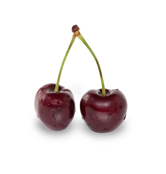 Dos cerezas maduras en un injerto aislado — Foto de Stock