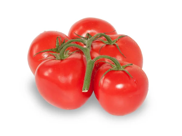 Verschillende rode tomaten op tak geïsoleerd — Stockfoto