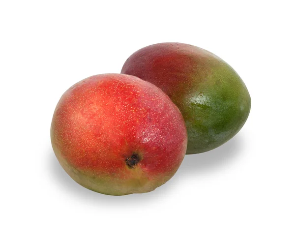 Два спелых красных и зеленых фруктов манго изолированы на белом с тенью — стоковое фото