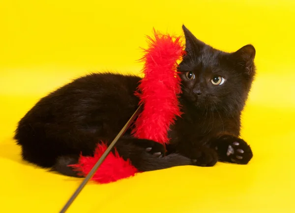 Chaton noir couché avec des jouets sur jaune — Photo