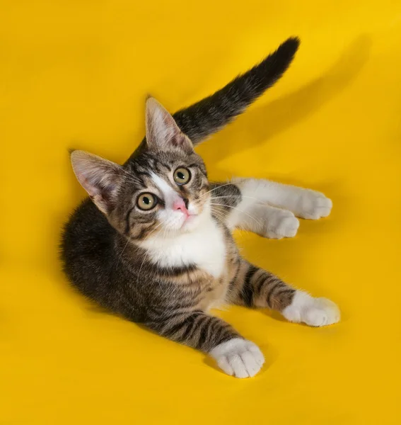 Gestreepte kitten liggend op geel — Stockfoto