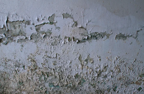 Konsistens av gamla grå vägg med vittrande gips — Stockfoto