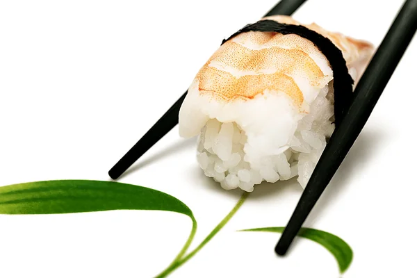 Shussi Shrimp — Stock Photo, Image
