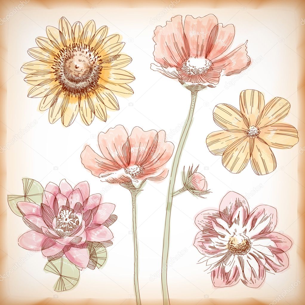 Vector Hand Drawn Assorted Flowers