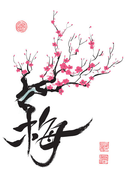 Plum Blossom