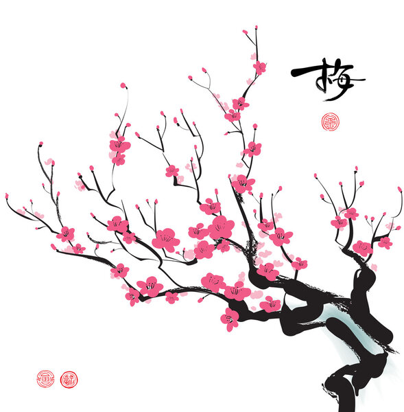 Plum Blossom