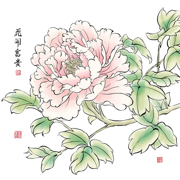 Pittura a inchiostro di Peonia cinese . — Vettoriale Stock
