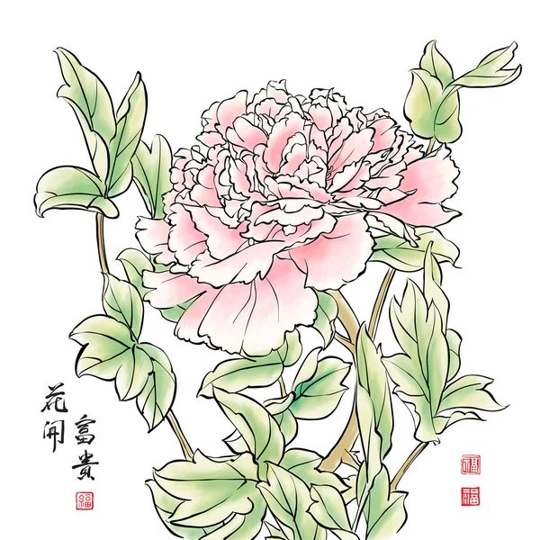 Pintura de tinta de peônia chinesa . —  Vetores de Stock