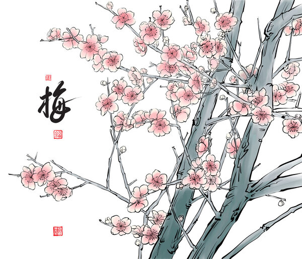 Plum Blossom