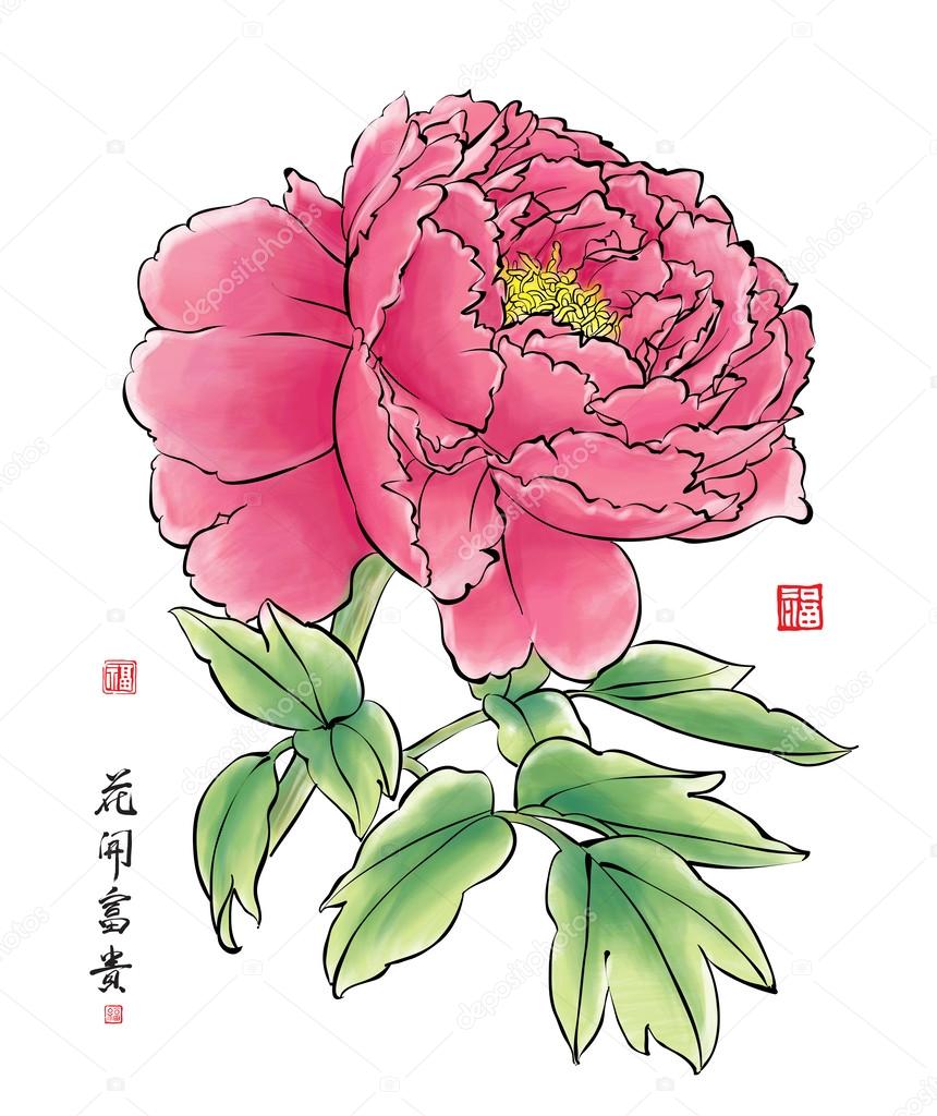 Ink Painting of Chinese Peony