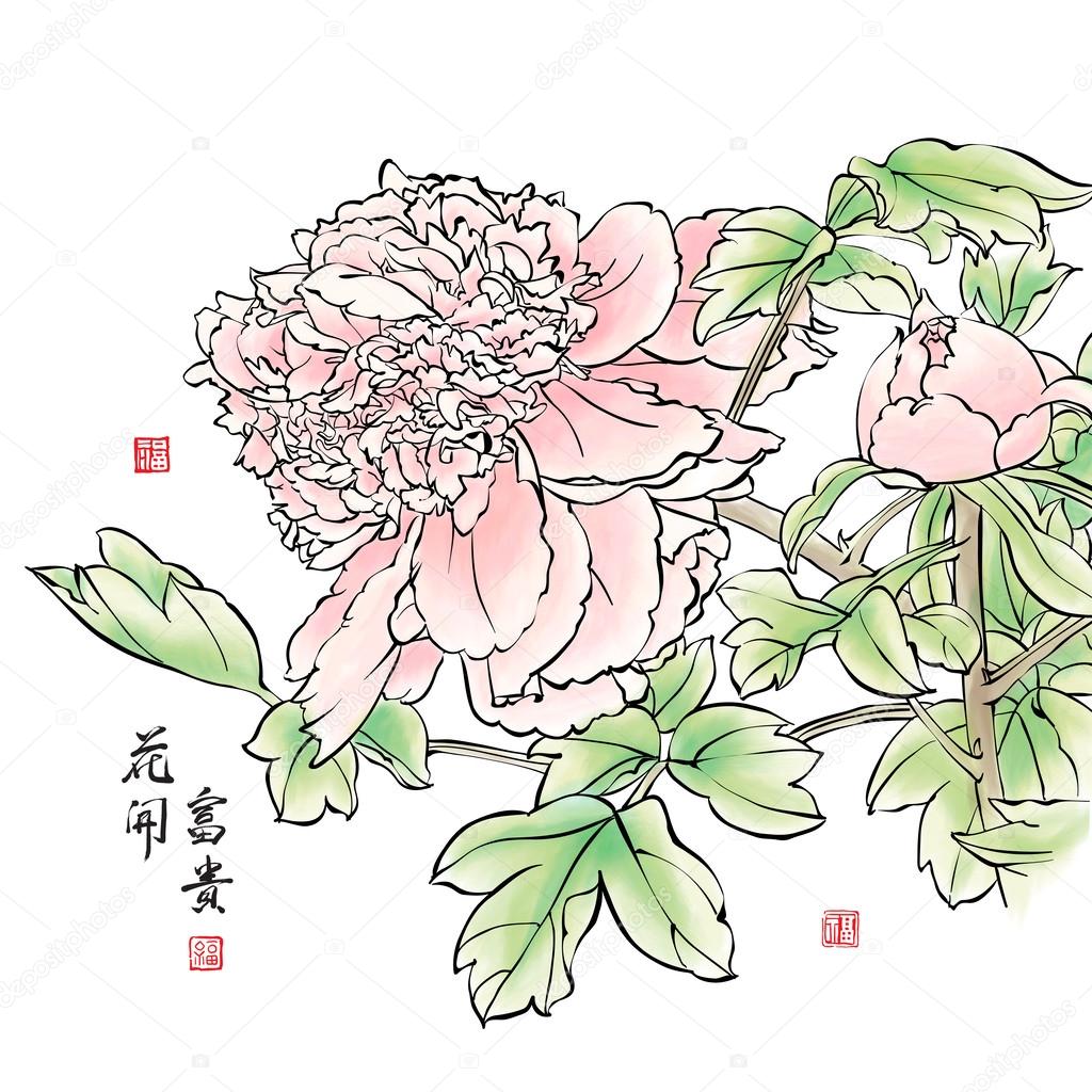 Ink Painting of Chinese Peony.