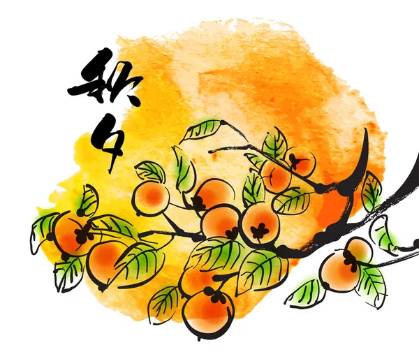 Persimmons for Korean Chuseok — Stock Vector