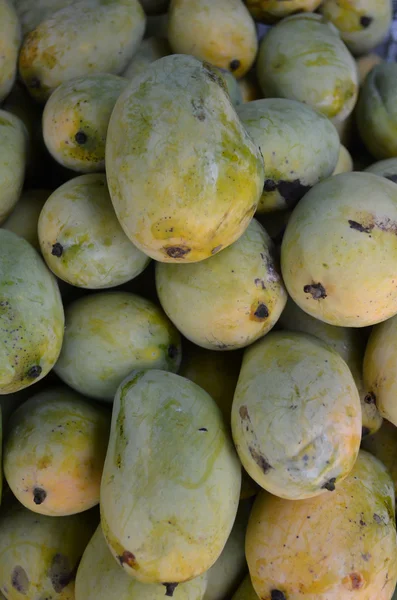 Mango meyve, Tayland — Stok fotoğraf