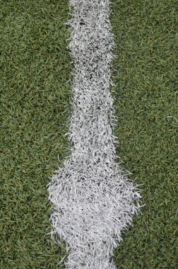 Futbol (soccer) alanı'nın.