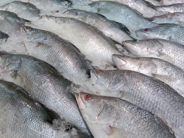 新鮮な魚魚介類の様々 な — ストック写真