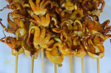 Şiş Izgara kalamar