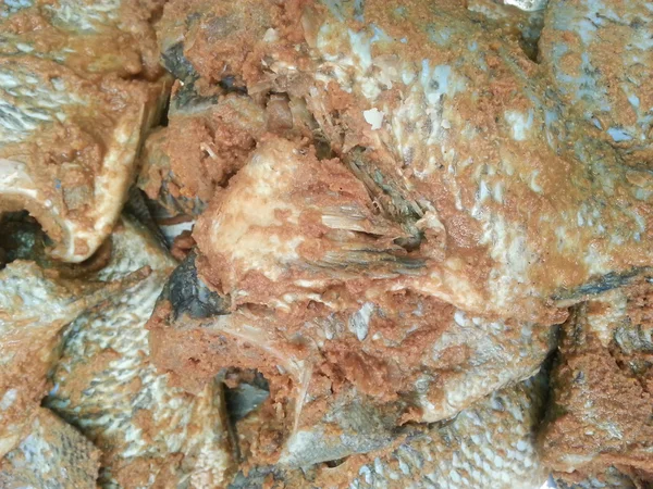 Fermented fish — Stock Photo, Image