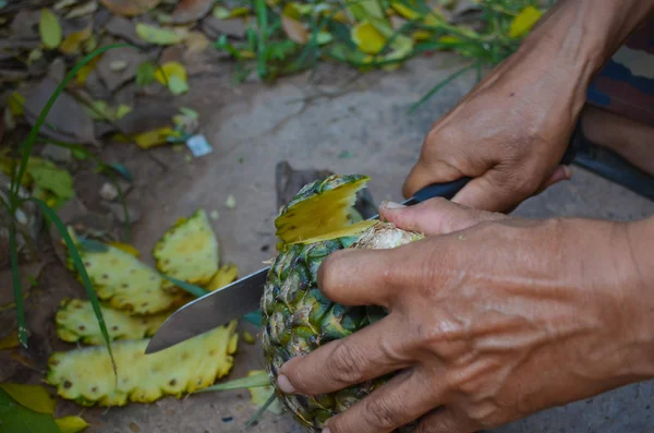 Ananas'ın elleri