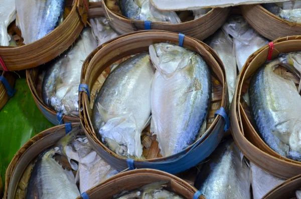 Pescado de caballa —  Fotos de Stock