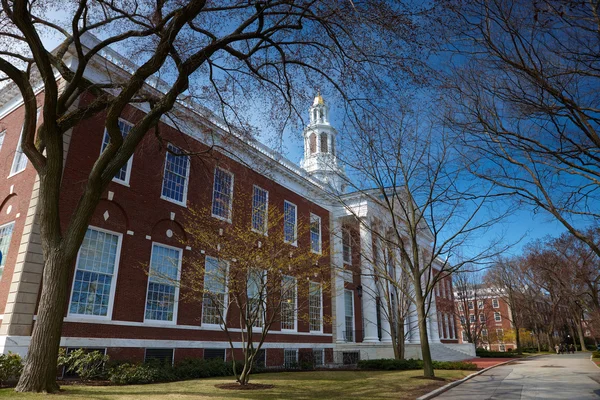 06.04.2011, USA, Harvard University, Bloomberg — Stock Photo, Image