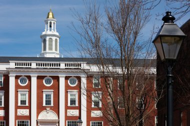 06.04.2011, ABD, harvard Üniversitesi, bloomberg