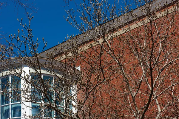 06.04.2011, Estados Unidos, Universidad de Harvard, Aldrich — Foto de Stock