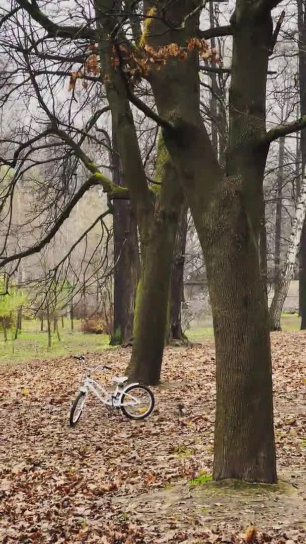 Wiewiórka biegnie wokół roweru stojąc w jesiennym parku, żółte liście na drzewach i na ziemi — Wideo stockowe